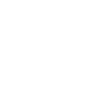 ss_left_btn